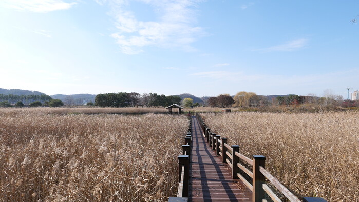 무르익은 가을 분위기를 즐기며 걷는 ...