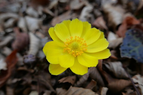 아름다운 겨울 풍광과 맑은 숲이 함께하는 '겨울 산속 여행' [25년 겨울호]